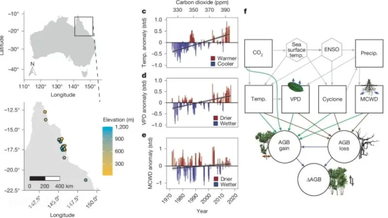 Australian Tropical Forests Now Emit More Carbon Than They Absorb