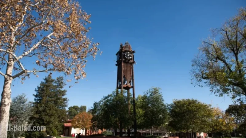 Palomar College Board Eliminates Anti-Racism Policy