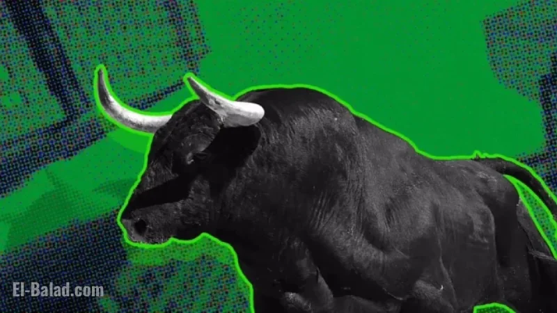 Market Concerns Loom, Yet Stocks Poised for Year-End Rally, Expert Predicts