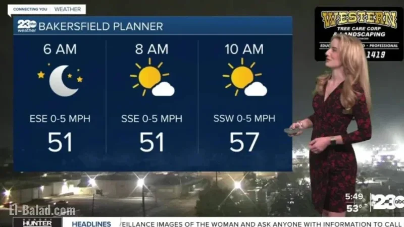 Patchy Fog Thursday Morning, Gradual Warming Towards the Weekend