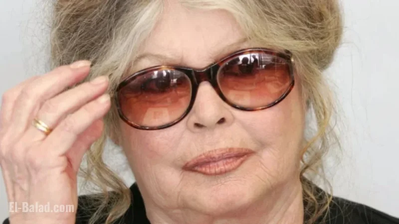 French Film Icon Brigitte Bardot Hospitalized, Reports Newspaper