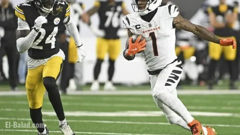 Steelers’ Defense Struggles Fulfill Mike Tomlin’s Concerns About Joe Flacco