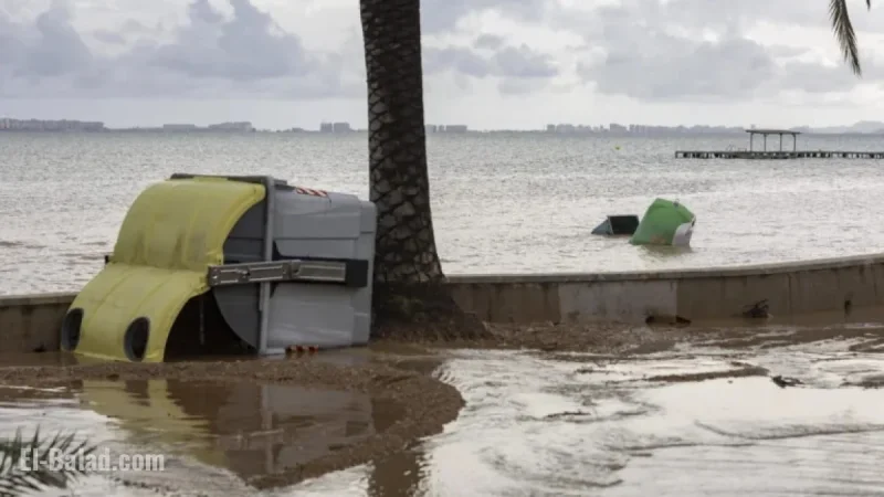 Mar Menor’s Fauna Temporarily Averts Oxygen Crisis in Southern Basin