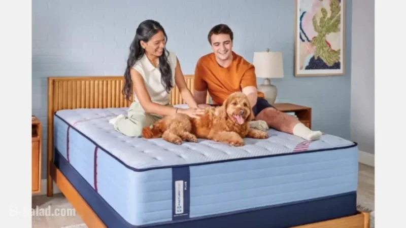 Somnigroup Expands North American Market with Kingsdown Acquisition