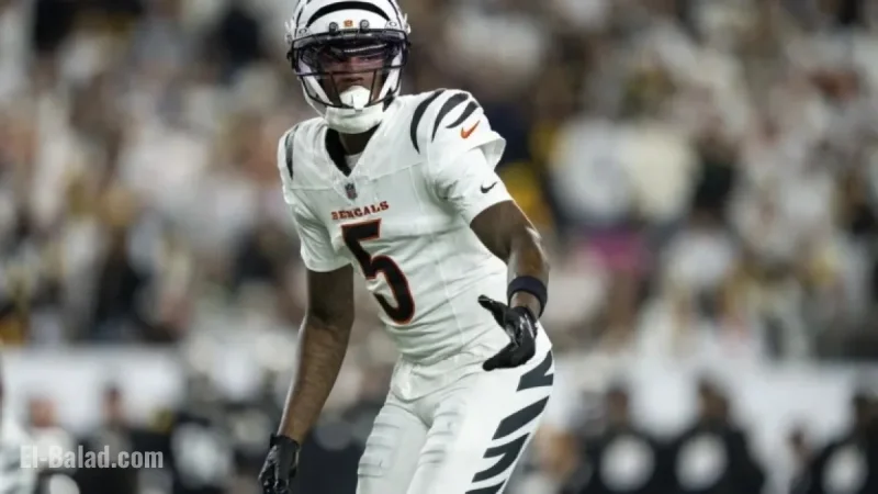 2025 Week 8 Fantasy Football WR Rankings Unveiled
