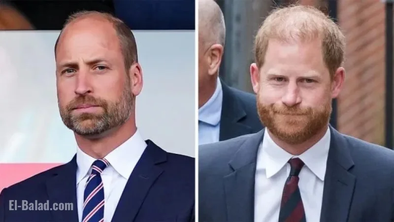 Prince William and Harry Reunite Following King Charles Meeting
