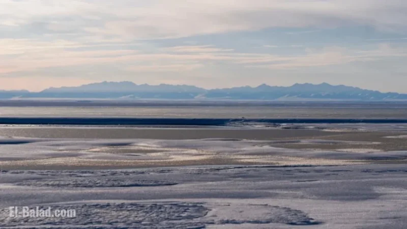 Trump Administration Approves Alaska Wildlife Refuge Oil, Gas Drilling