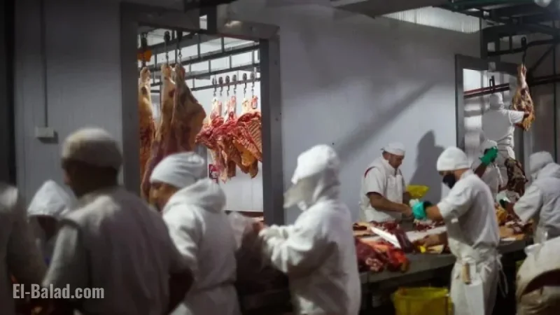Trump Increases Argentina Beef Tariff Quota to 80,000 Metric Tons