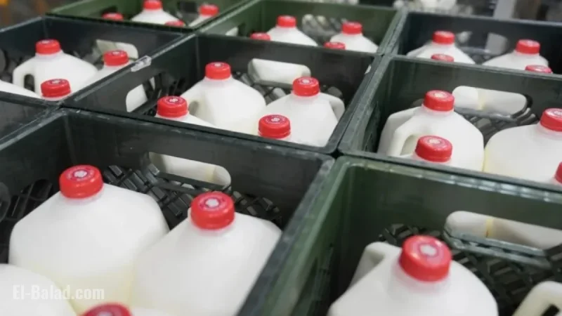 Assistance for SNAP Recipients in Philly During Shutdown