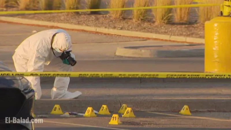 How Can Canada Effectively Combat Violent Crime?
