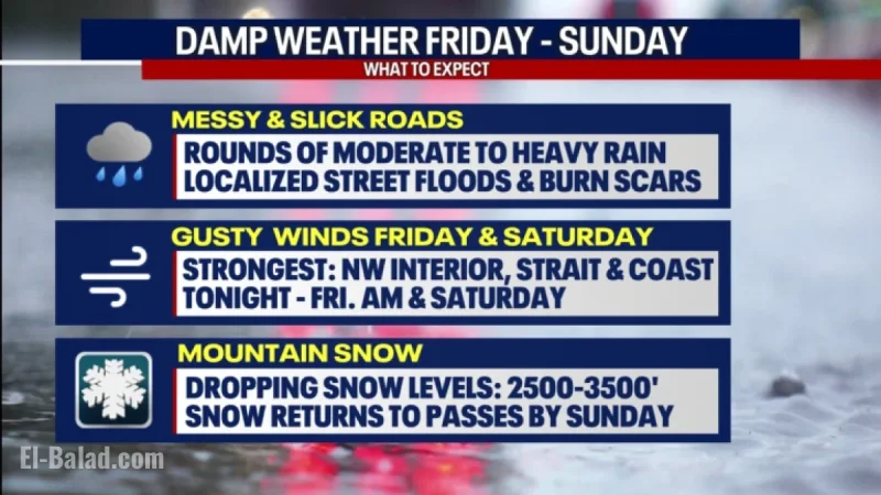 Seattle Faces Gusty Winds and Heavy Rain on Friday