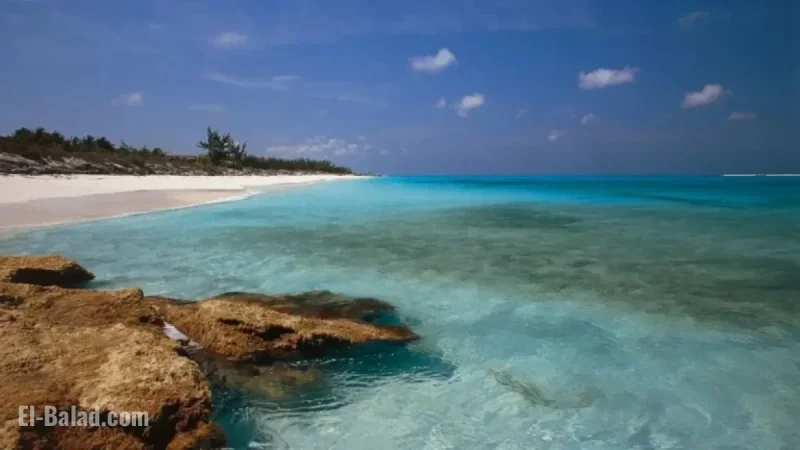 Bahamas Authorities Arrest Eight Americans, Seize Cache of High-Powered Weapons