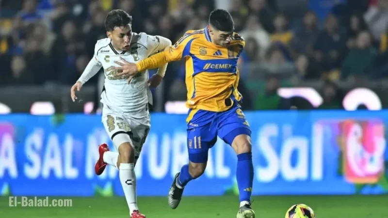 ChatGPT AI Predicts Outcome of Tigres UANL vs. Tijuana Match
