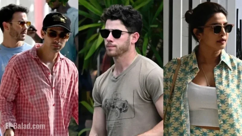 Jonas Brothers and Priyanka Chopra Gather for Miami Lunch Meeting