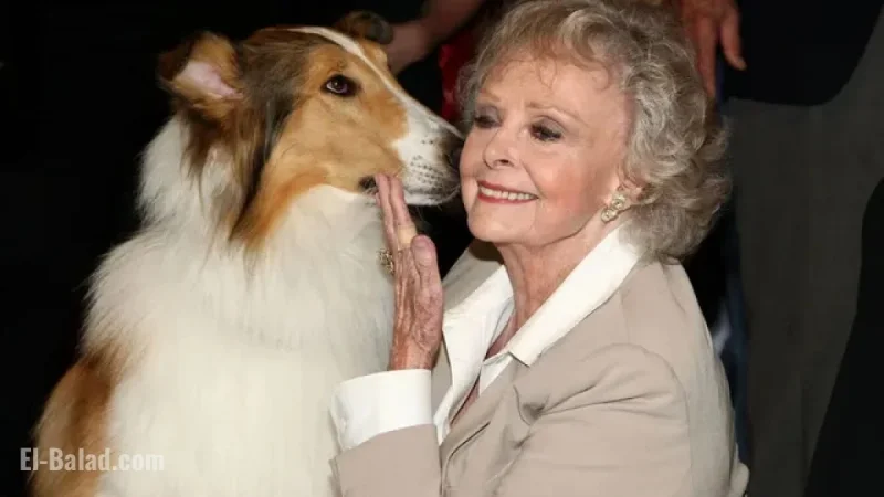 June Lockhart net worth: what the “Lassie” and “Lost in Space” legend likely left behind