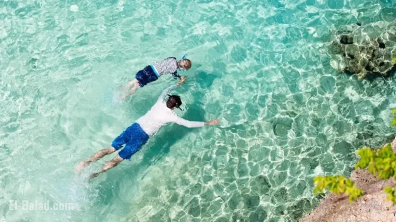 Travelers Favor World’s Safest Caribbean Island: Discover Why