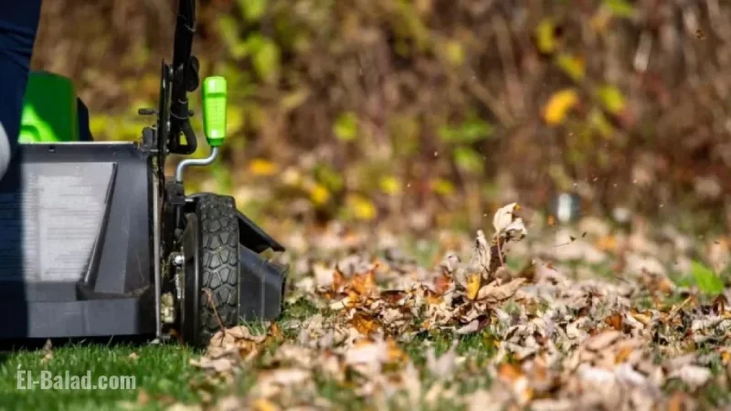 When to Stop Mowing Your Lawn for Winter Preparation