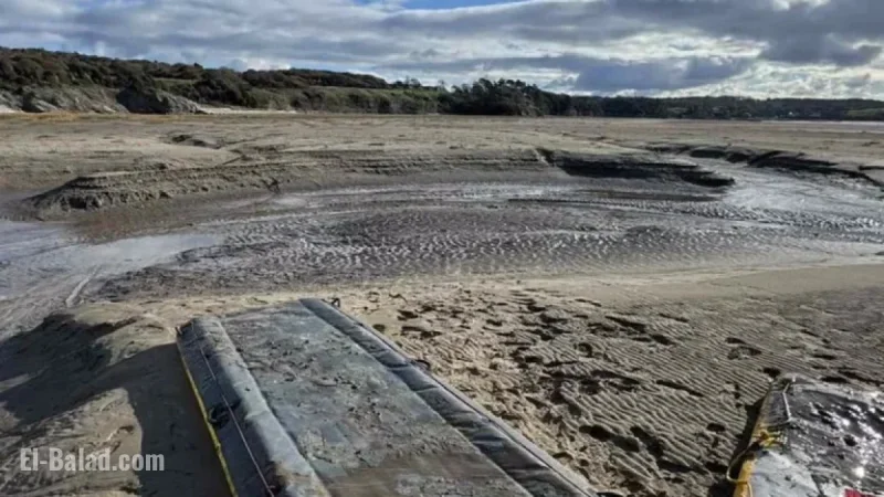 Emergency Crews Rescue Man Trapped in Quicksand with Only Head and Arm Visible