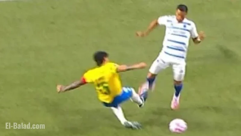 Ex-Referees Agree on Key Decision in Palmeiras vs Cruzeiro Match