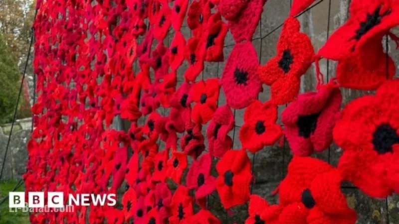 Heddington Honors Remembrance with 7,000 Knitted Poppies Display