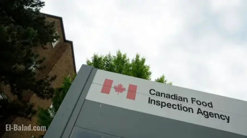 Canadian Soup Mix Recalled Over Insect Contamination