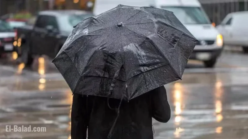 Heavy Rain Predicted for Southern Manitoba