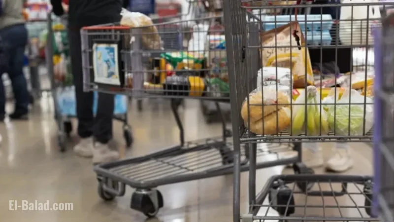 Impact of Federal Shutdown on November SNAP Benefits