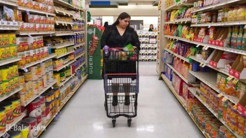 SNAP Recipients Fear Future as Food Stamps End November 1