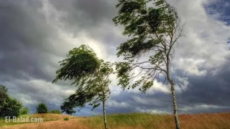 Windy conditions intensify today: where gusts are strongest, safety tips, and the best tools to track high winds