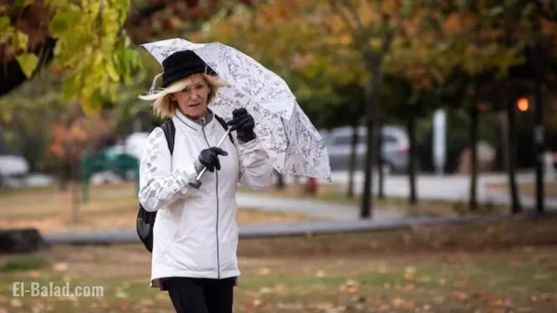 Environment Canada Alerts B.C. to Snowfall, High Winds, Power Outages
