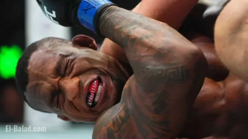 Rampage Jackson Proposes $1 Million UFC Bonuses to Curb Boring Fights