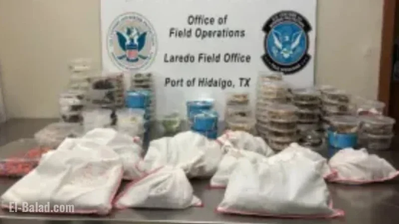 163 Exotic Animals, Including Pythons and Tarantulas, Seized at U.S.-Mexico Border