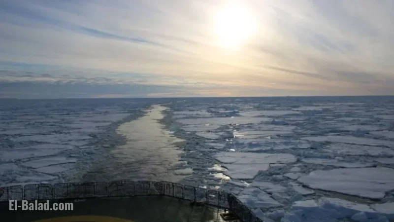 Antarctic Team Unearths Unexpected Seafloor Find on Endurance Shipwreck Quest