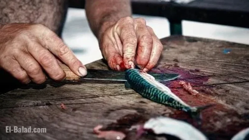 Busan Celebrates Mackerel Festival from October 31 to November 2