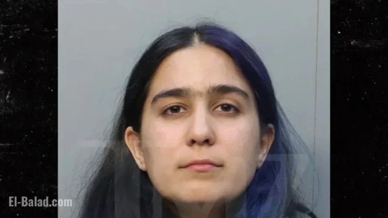 Gloria Estefan’s Daughter’s Partner Arrested on Robbery, Battery Charges