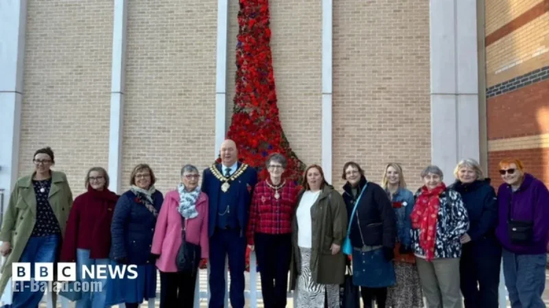 Handcrafted Poppy Display Unveiled for Remembrance Day Tribute