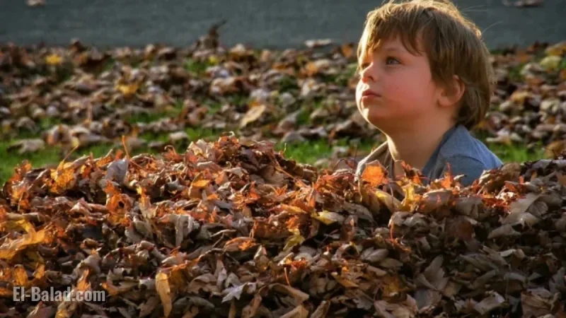 Severe Weather Threatens Thursday, Friday, and Halloween Celebrations