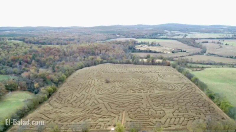 Virginia Corn Mazes Shut by Award-Winning Farmer After Visitor Dispute