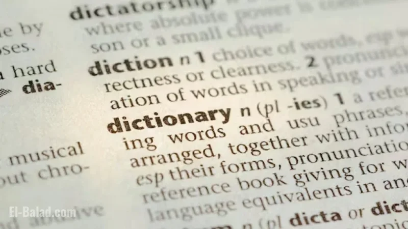 Dictionary.com Names ‘6-7’ Word of the Year, Sparking Confusion