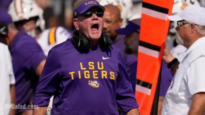 LSU Students Respond to Brian Kelly’s Dismissal