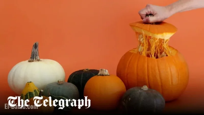 Nine Delicious Pumpkin Recipes: From Air-Fryer Crisps to Autumnal Scones