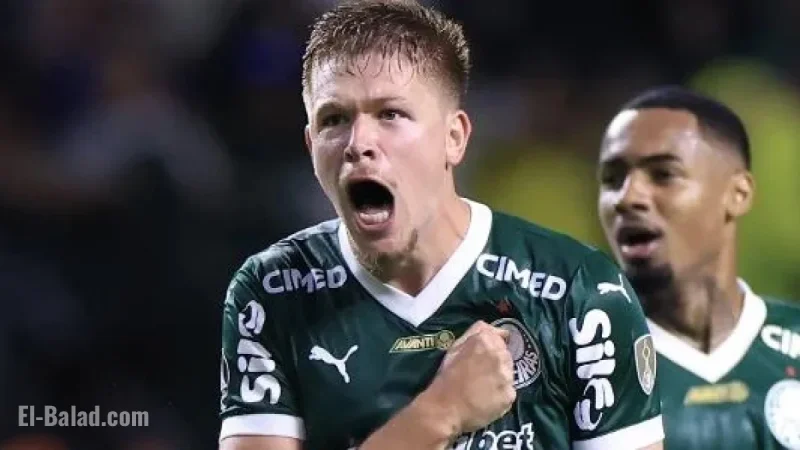 Palmeiras Achieves Greatest Comeback in Libertadores Semifinals: Paulo Vinicius Coelho