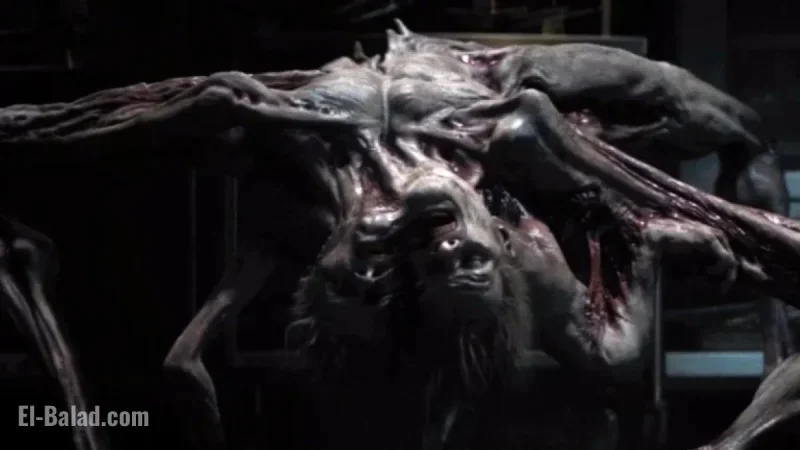 “Top Horror Remake’s 2 Sequels You Likely Overlooked”