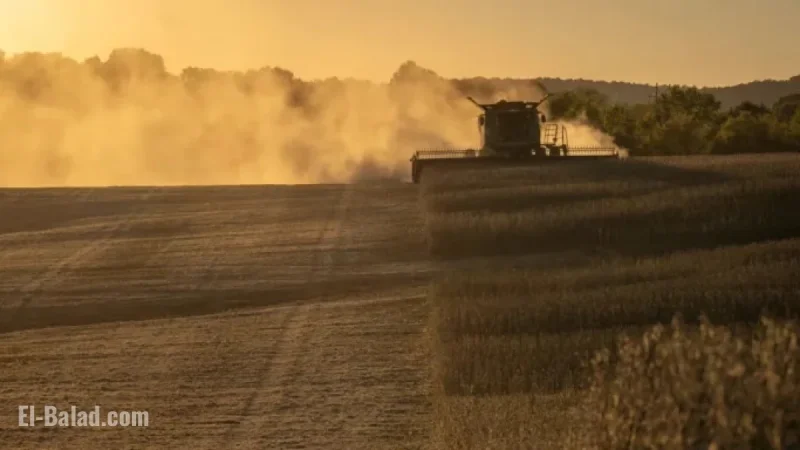 Trump’s China Soybean Deal Falls Short of Full Victory – Barron’s