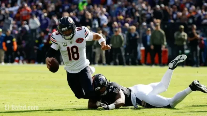 Week 8 Rookie Report: Ravens Triumph Over Bears