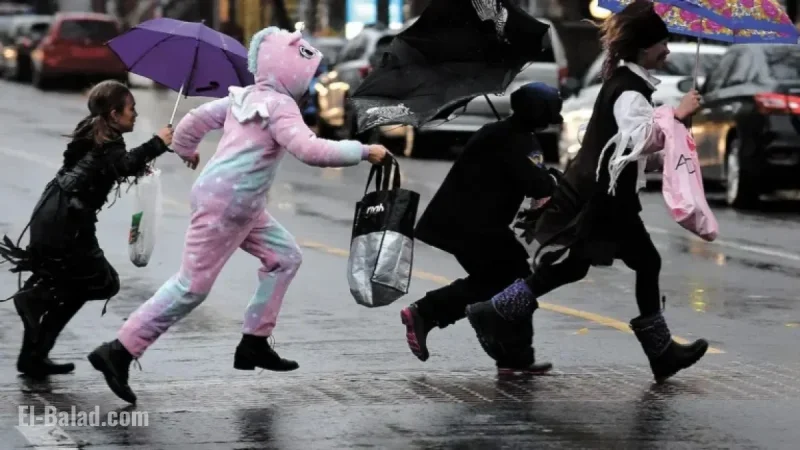 Heavy Rain Persists: 20mm Expected This Evening