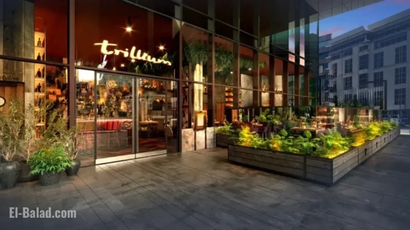 Michelin-Starred Chef Glynn Purnell Opens Innovative Birmingham Restaurant Soon
