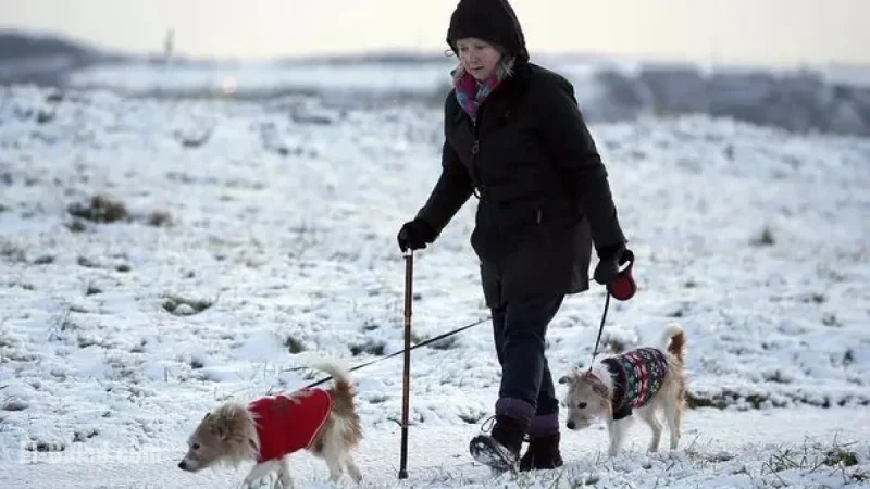 Snow forecast: No flakes for Liverpool this week as mild, windy air takes charge