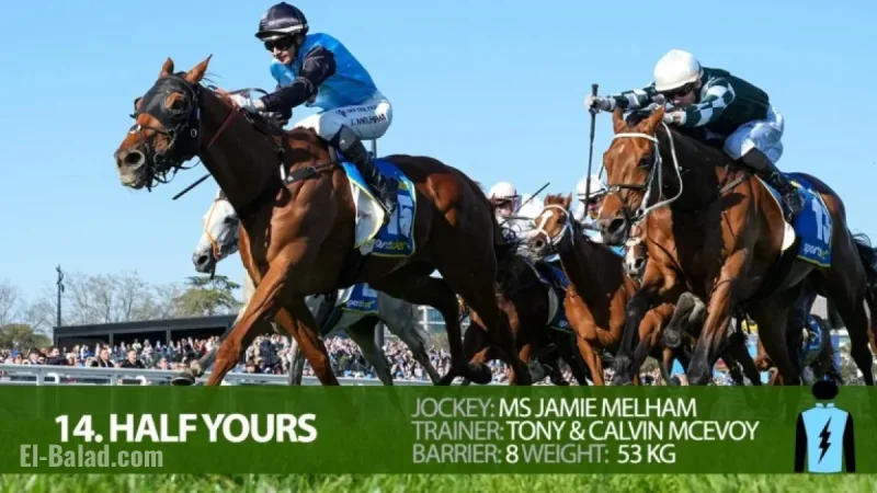 2025 Melbourne Cup Field: Comprehensive Guide