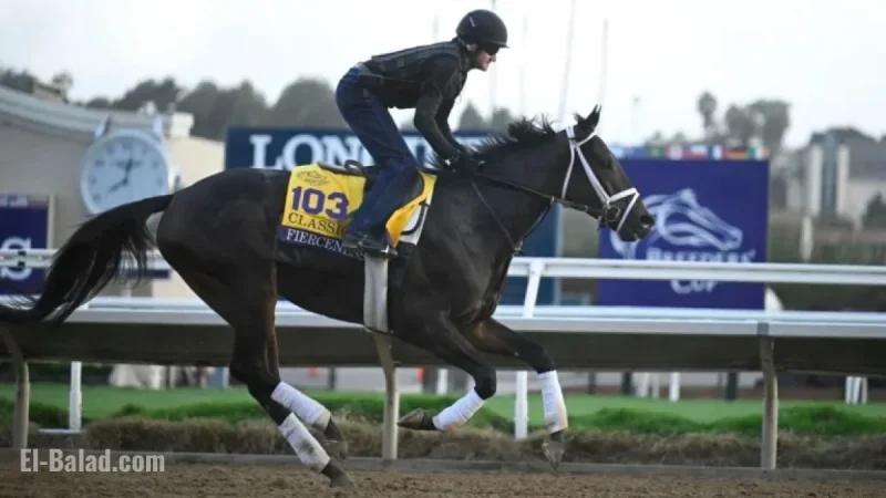 Breeders’ Cup Classic Betting: Wide-Open Field After Sovereignty Scratches